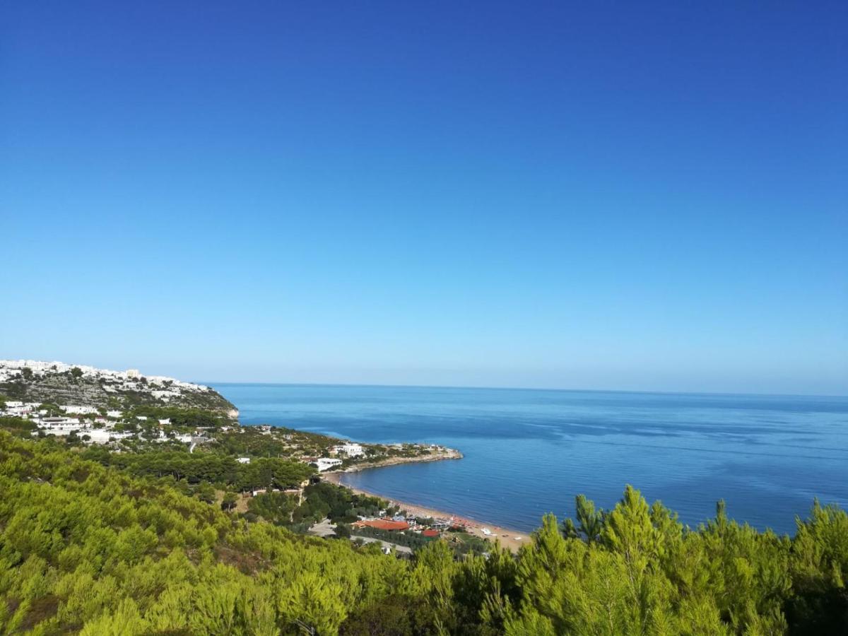 Residence Olimpia Peschici Εξωτερικό φωτογραφία